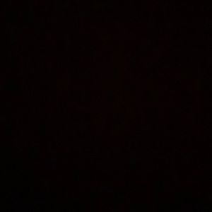 Meet your Posher, Ebony